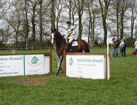 WOW Cross Country Saddle