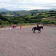 Llwynon Saddlery